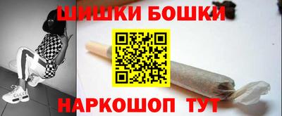 индика Кандалакша