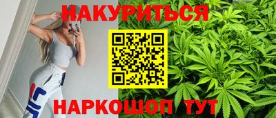 индика Кандалакша
