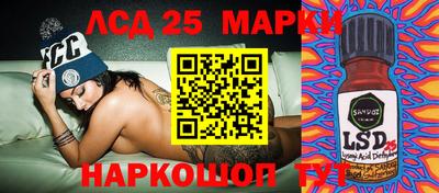 индика Кандалакша