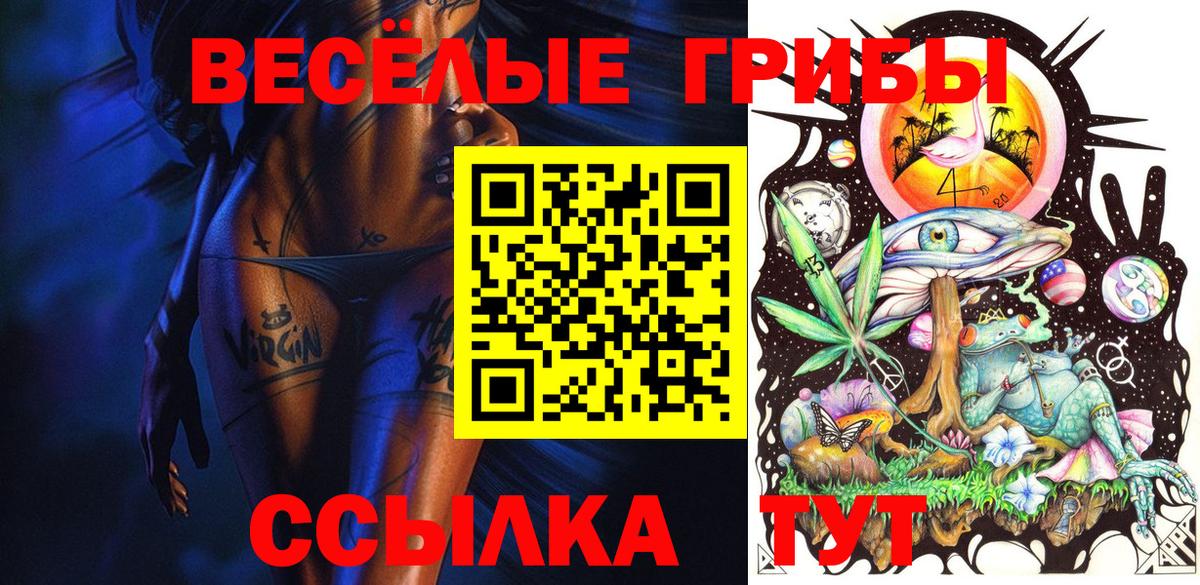 Луга  сколько стоит  Вход с VPN  Галлюциногенные грибы Psilocybine cubensis  Псилоцибиновые грибы прущие грибы 